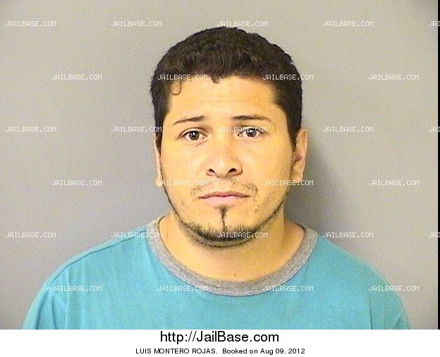 Luis Montero Rojas: Joven mexicano de 28 años detenido en el condado de Cook, Illinois, USA. - luis-montero-rojas-2012-0809207.pic1_