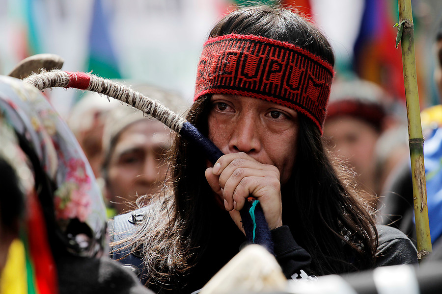 marcha mapuche (4)