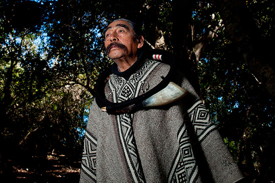 Lorenzo Aillapán, el Hombre Pájaro Mapuche: “Los pájaros tienen un instinto superior a  los hombres”