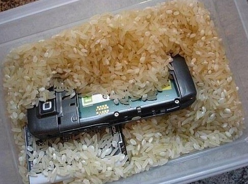 celular arroz TW