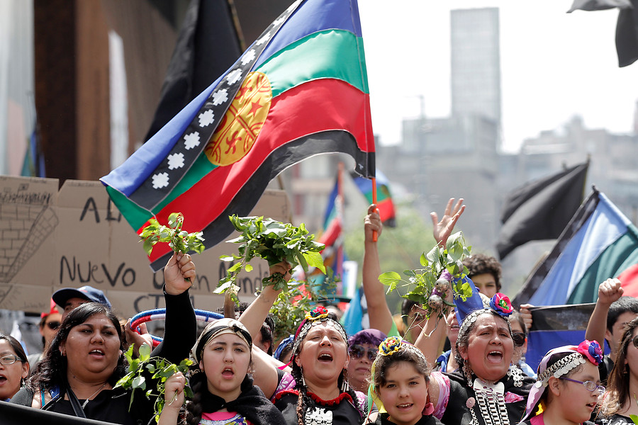marcha mapuche (1)