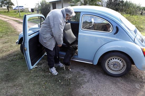 Mujica Volkswagen EFE