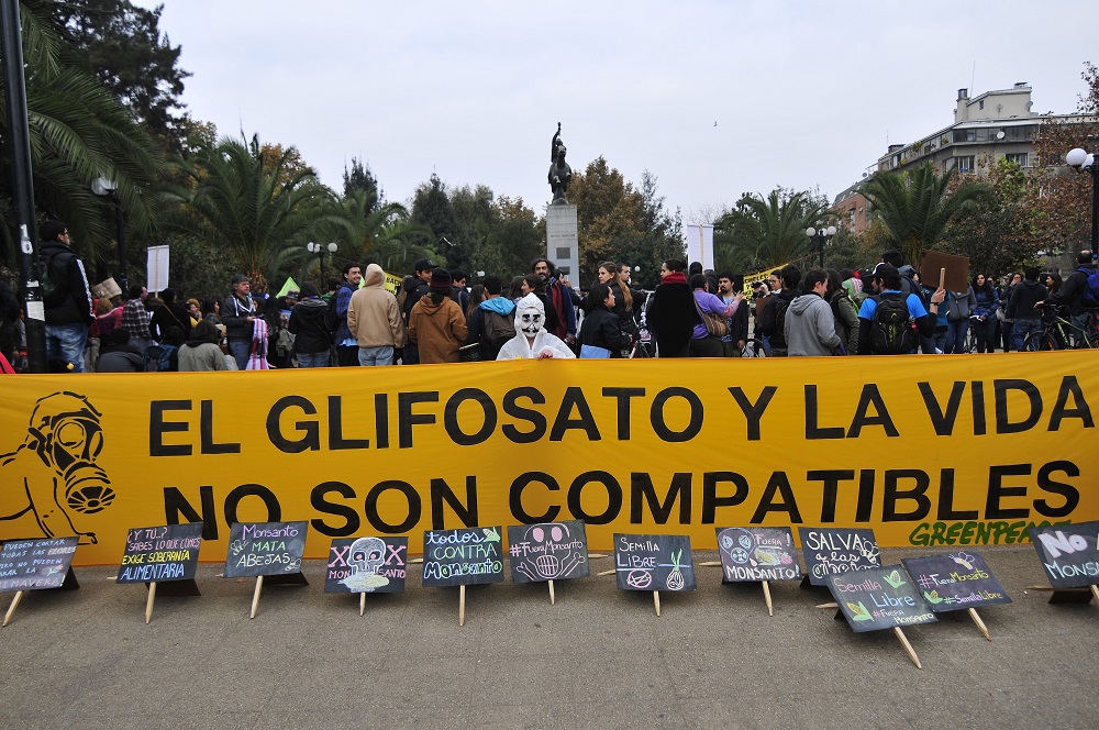 23 de Mayo del 2015 / SANTIAGO  Manifestante protesta sosteniendo un gran lienzo amarillo, previo a la marcha contra la empresa Monsanto, organizada por el Colectivo Ecológico de Acción y otras nueve organizaciones ecologistas.  FOTO: SEBASTIAN BELTRAN GAETE / AGENCIAUNO