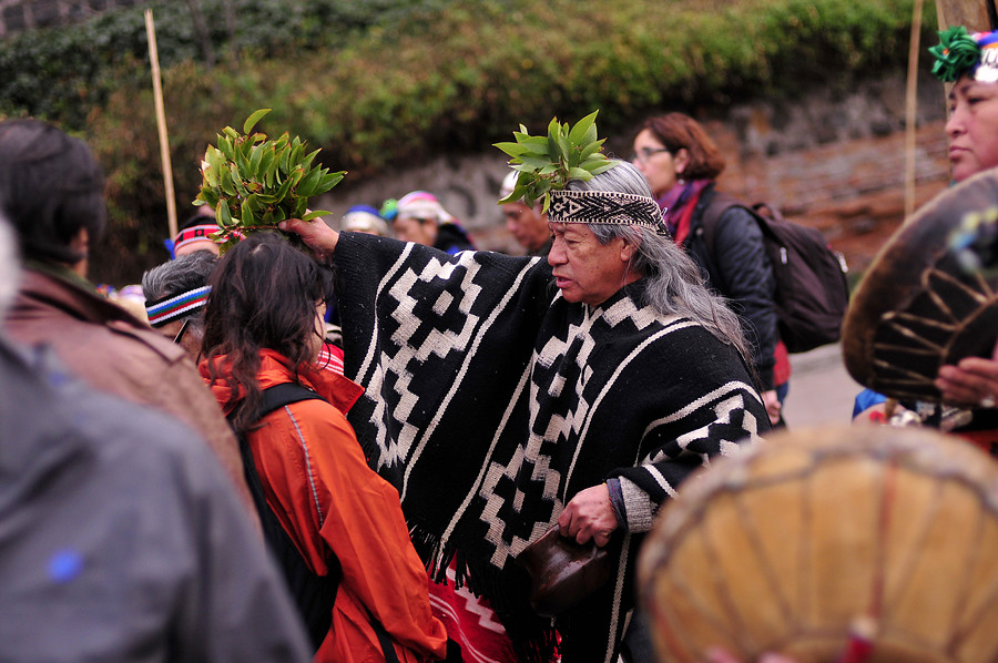 año nuevo mapuche a1 4