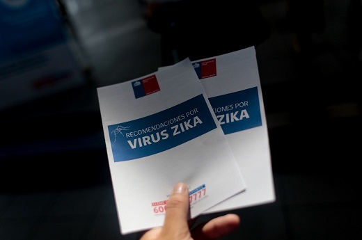 virus zika a1