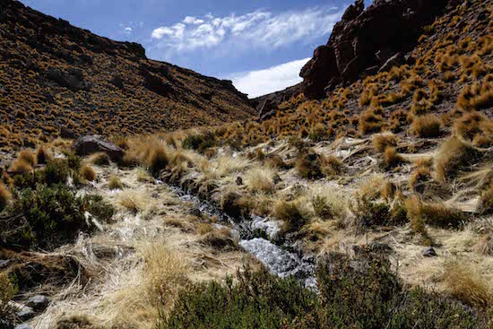 10 de junio de 2016/CALAMA  Imagenes del Rio Silala, por el cual Chile demandará a Bolivia ante la Corte Internacional de Justicia de La Haya por la naturaleza de las aguas. FOTO:JUAN RICARDO/AGENCIAUNO