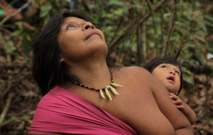Indígenas Brasil Survival 