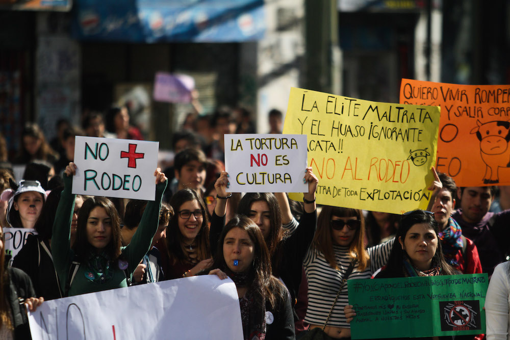 3 de septiembre 2016/Valparaiso                       Decenas de personas se reunieron en la Plaza Sotomayor de Valparaiso para marchar en contra del rodeo en chile, actividad organizada por la ONG Animal Libre               FOTO:YVO SALINAS/AGENCIAUNO