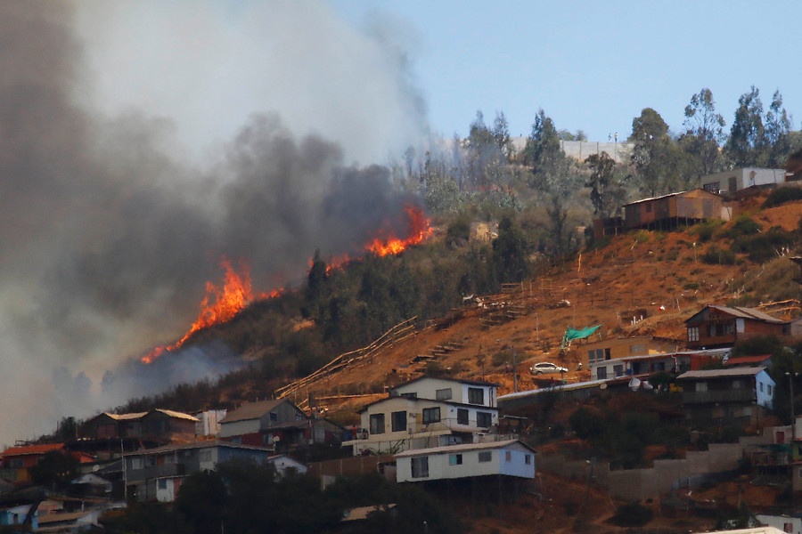 Valparaíso: ONEMI solicita evacuar algunos sectores de la comuna por fuertes incendios forestales