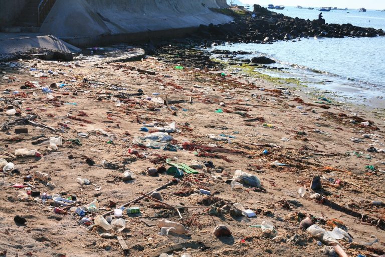 contaminación en los oceanos, playa con plásticos
