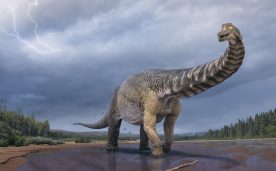 El Australotitan, el dinosaurio más grande en todo Australia