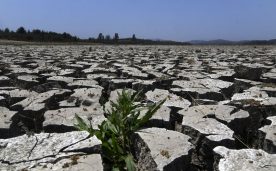 Gobierno advierte sobre la sequía en Chile