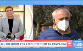 Juio César Rodriguez, conductor de Contigo en la Mañana, protagonizó un tenso diálogo con Antonio Rojas sobre el ataque de un tigre blanco a una funcionaria del recinto.