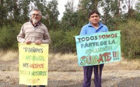 Vecinos del Maule con carteles alusivos a la lucha contra la empresa Coexca