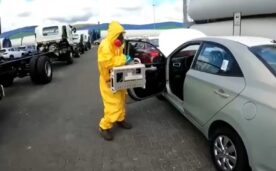 Plaga de chinche apestosa llega a Chile: cruzó el océano en autos nuevos