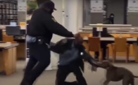 VIDEO. Escalofriante registro muestra feroz ataque de un perro a un guardia a vista y paciencia de su dueño